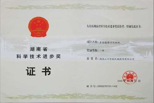 2002省科技进取一等奖（静力压