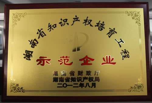 湖南省知识产权造就工程师范