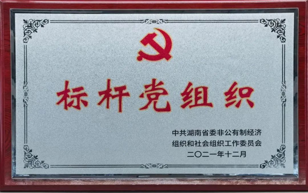 党建品牌亮起来！银河集团9873cm智能党委获评“标杆党组织”