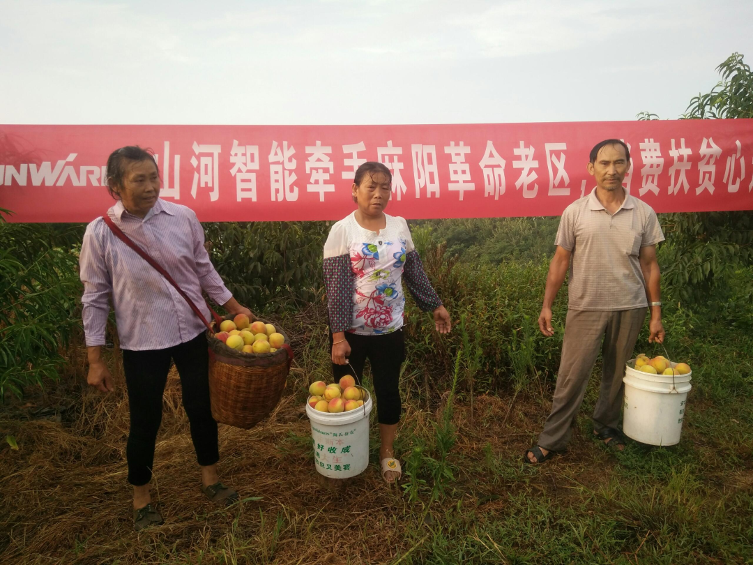 点赞！银河集团9873cm智能成功入选“上市公司村落振兴优良实际案例”