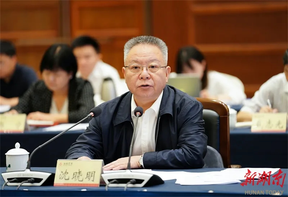 中非经贸深度合作先行区建设第一次会商会议在长沙召开